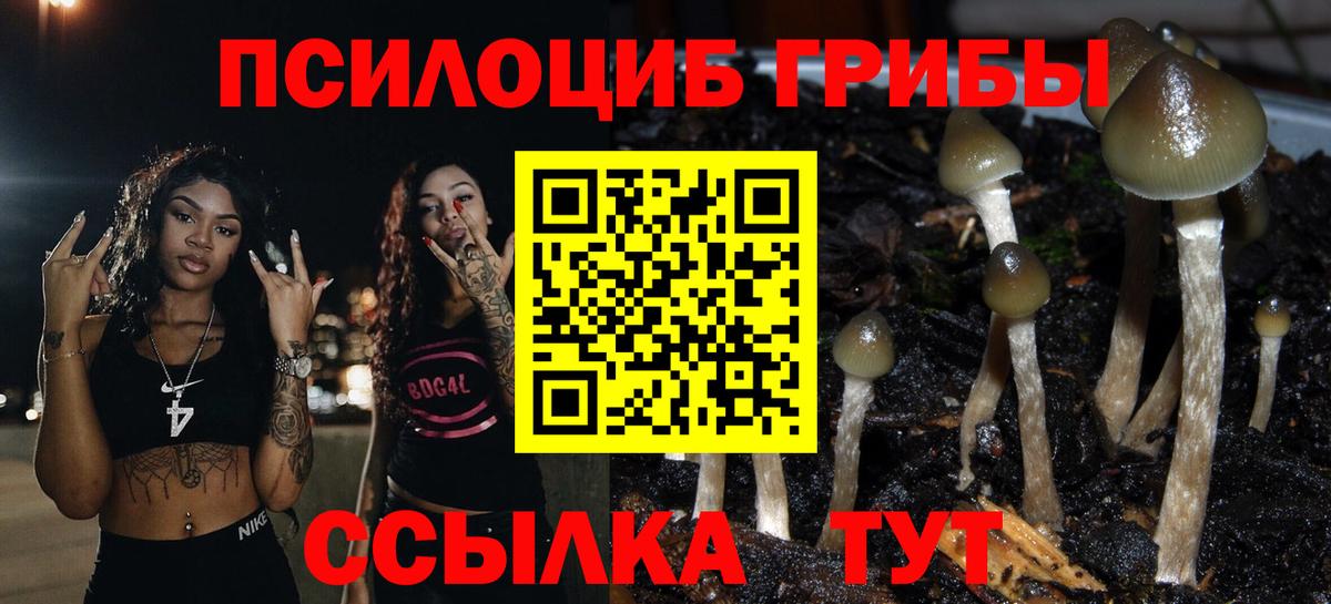 Галлюциногенные грибы прущие грибы  Вход с VPN  Железноводск 